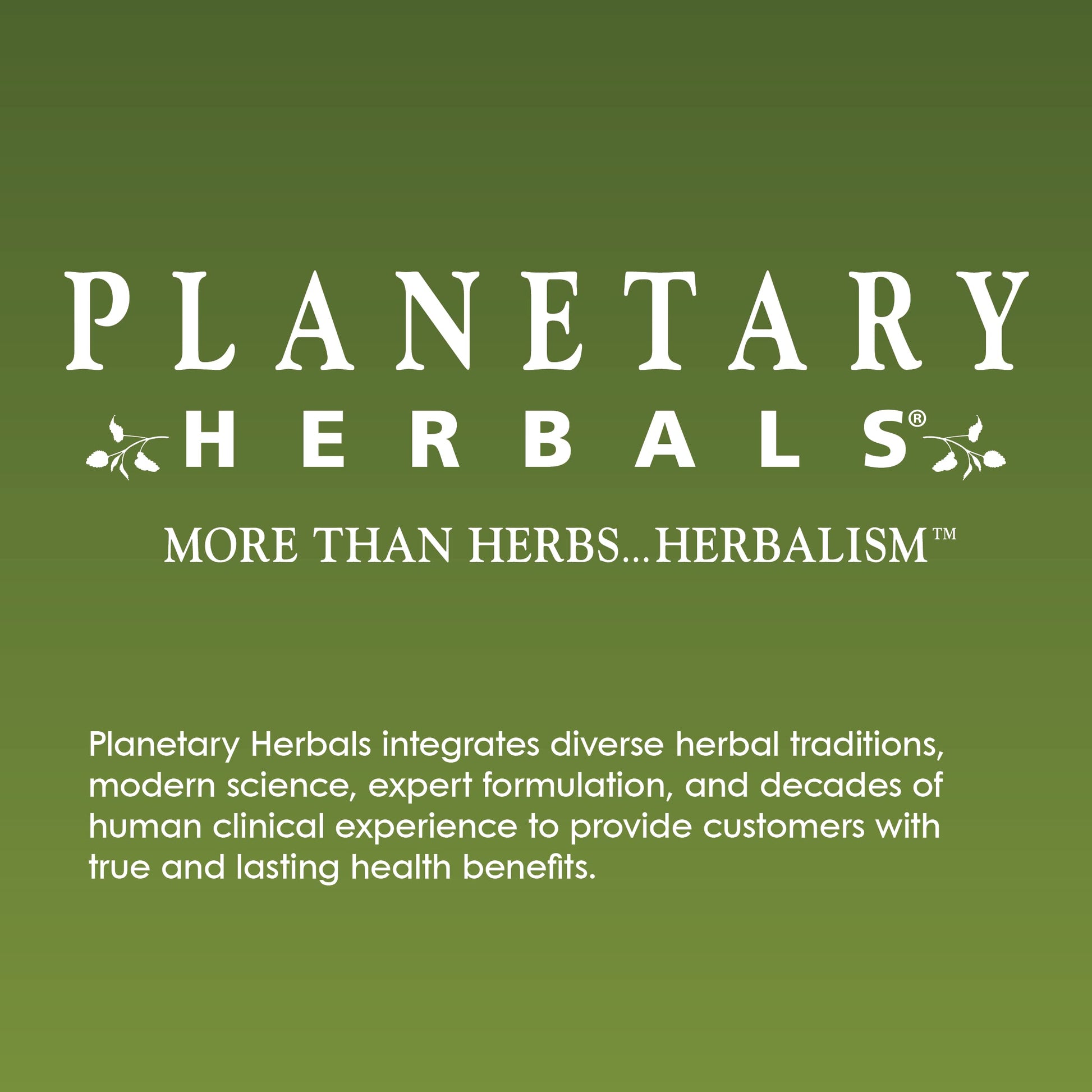 Planetary Herbals Willow Aid Tablets, 60 Count Planetary HerbalsBuy Supplements Australia