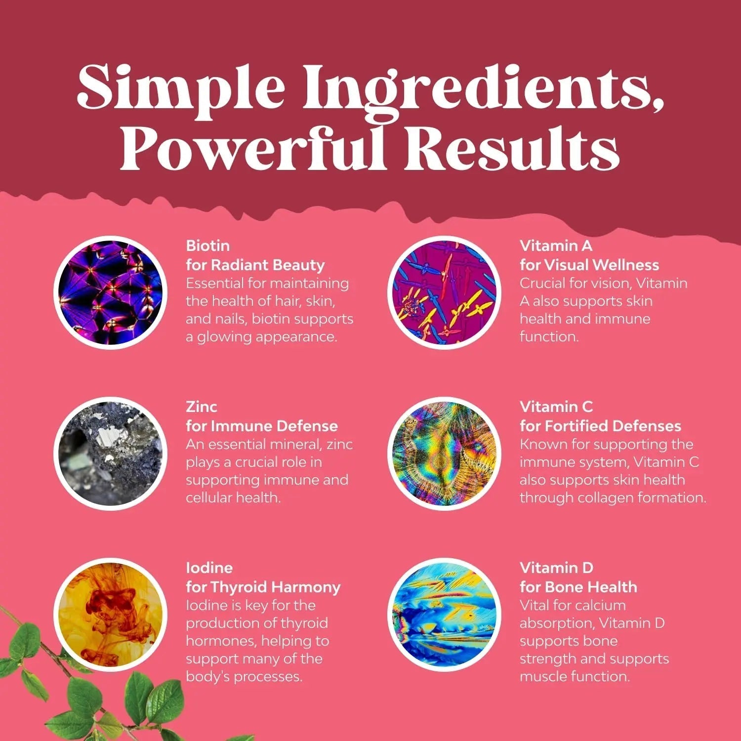 Delicious Daily Multivitamin for Women Gummies - Women's Multivitamin Gummies for Adults Energy and Immunity Natures Craft