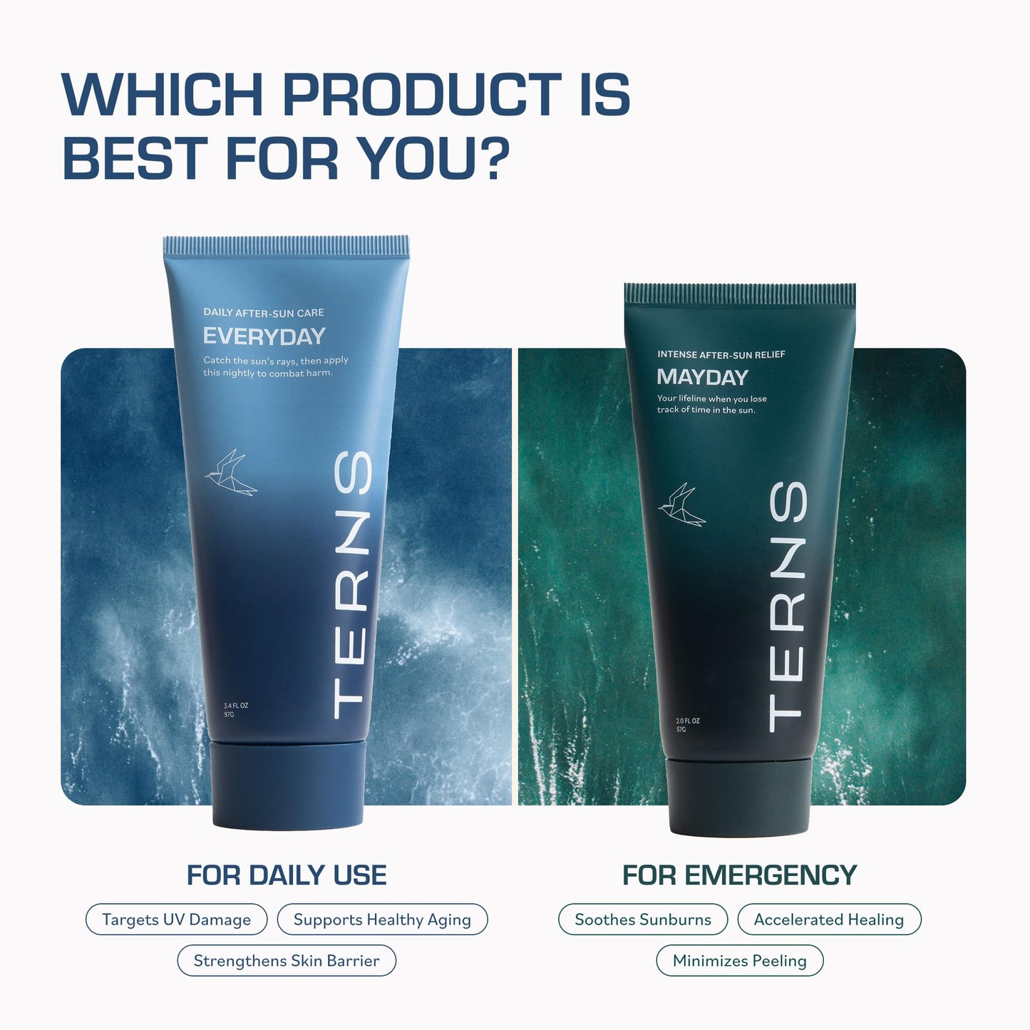 TERNS Everyday Advanced Moisturizer for Face & Body, Daily Skin Care Lotion for Men & Women, Marine Bioactive Skin Cream, Supports Firmness & Hydration, Travel Friendly, Natural Fragrance, 3.4 Oz TERNSBuy Supplements Australia