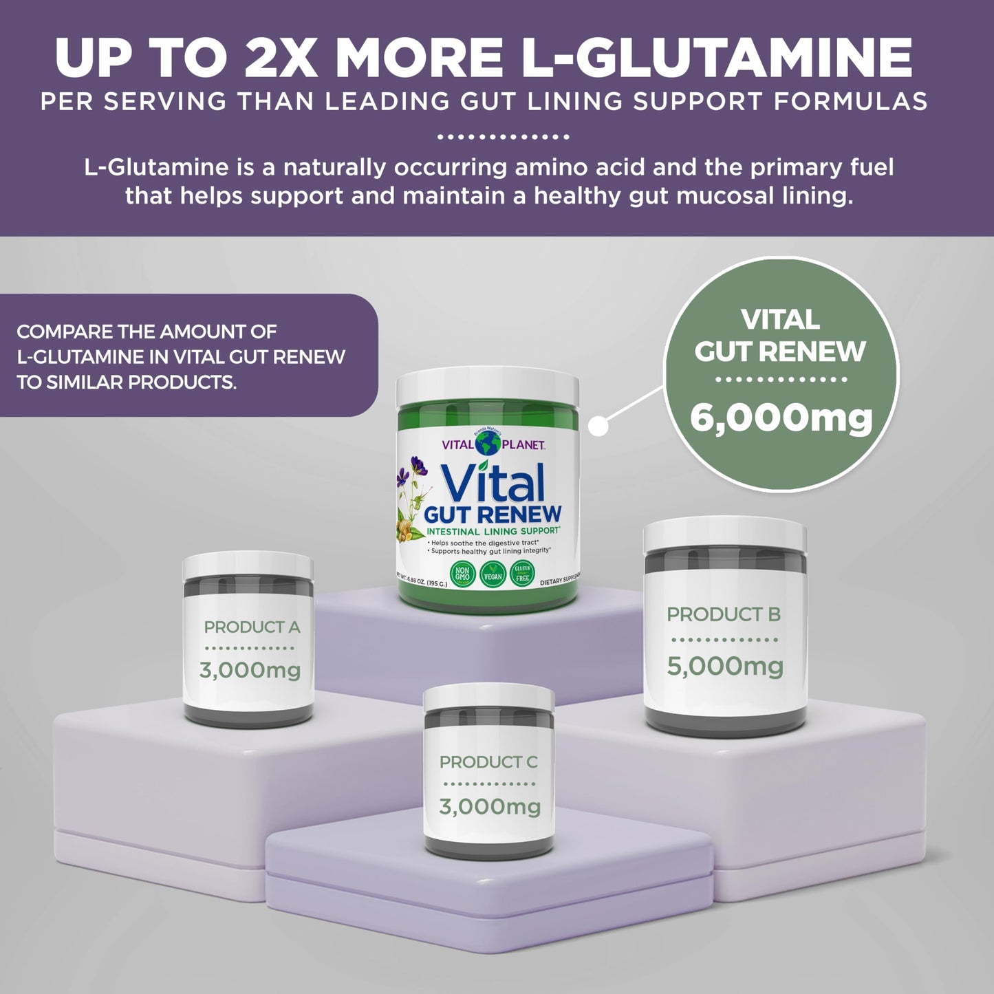 Vital Planet - Vital Gut Renew Powder Supplement for Leaky Gut Repair with L-Glutamine, Marshmallow and Ginger Root, DGL Licorice Root and Organic