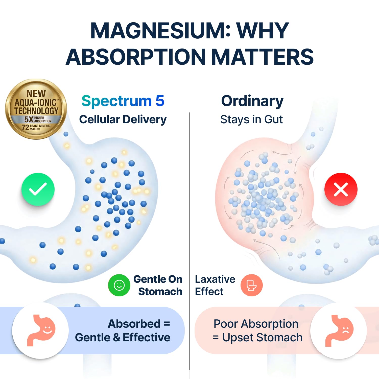 Spectrum 5 Magnesium | 5-in-1 Complex + 72 Trace Minerals for Enhanced Absorption | Irish Sea Sourced | 500mg per Serving | Made in USA, Third Party Tested, GMP Certified SonoHealth buy supplements Au