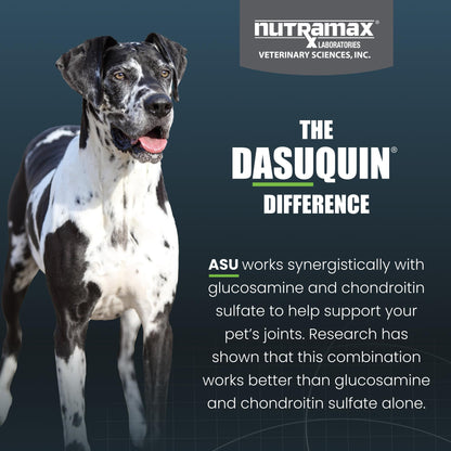 Nutramax Dasuquin for Large Dogs, Joint Health Supplement, Contains Glucosamine for Dogs, Plus Chondroitin, ASU, MSM and More, Supports Healthy Joints, Soft Chews, 150 Count Nutramax LaboratoriesBuy Supplements Australia
