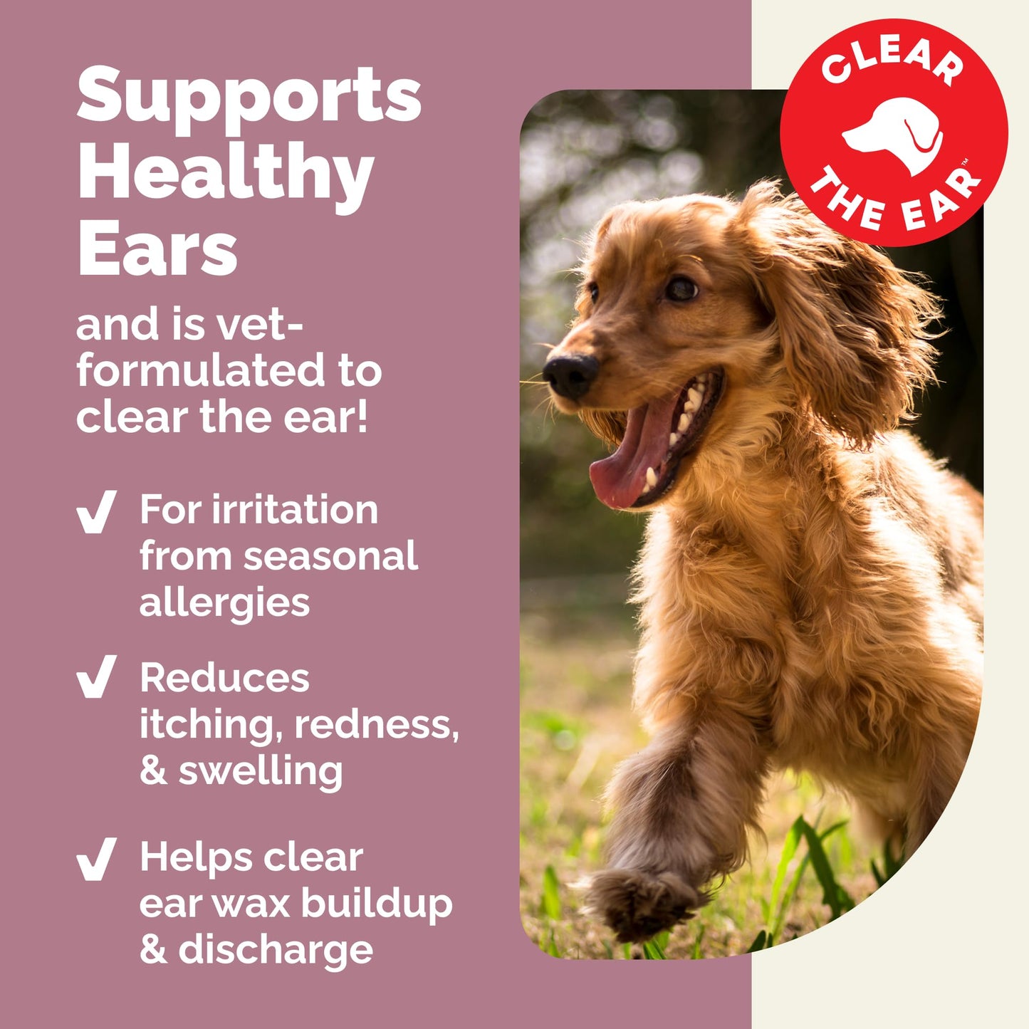 Vetnique Oticbliss Cat & Dog Ear Infection Treatment | Dog Ear Allergy Relief Drops, MicroSilver Yeast Infection Treatment for Dogs, Hydrocortisone for Itching, Redness Swelling (Ear Allergy Drops) Vetnique buy supplements Au