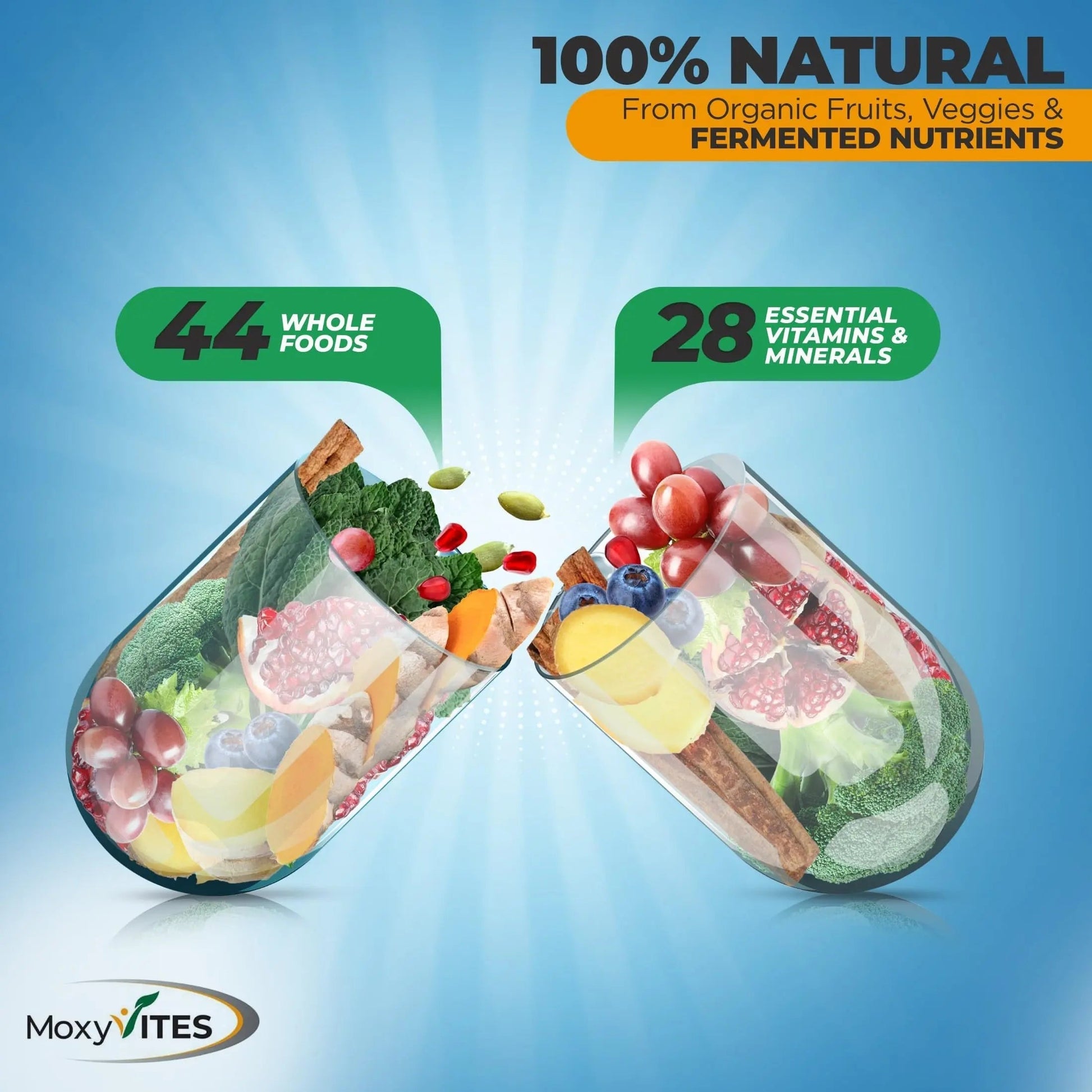 Methylated Mens Multivitamins - Daily Mens Vitamins with 44 Organic Whole Food - Multivitamin for Men with Iron & Fermented Nutrients MoxyVites