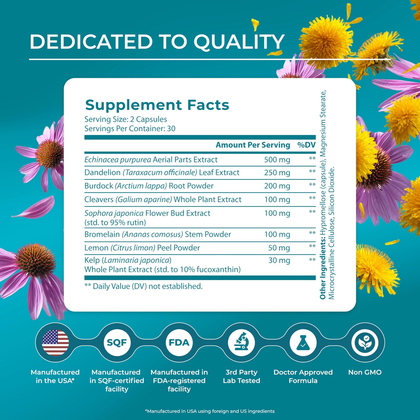 PUREHEALTH RESEARCH Lymph System Support - Lymphatic Drainage Supplement for Women & Men - Bromelain, Echinacea, Dandelion, Burdock Root, Lemon Powder, Kelp, Cleavers & More - 60 Capsules PUREHEALTH RESEARCH buy supplements Au
