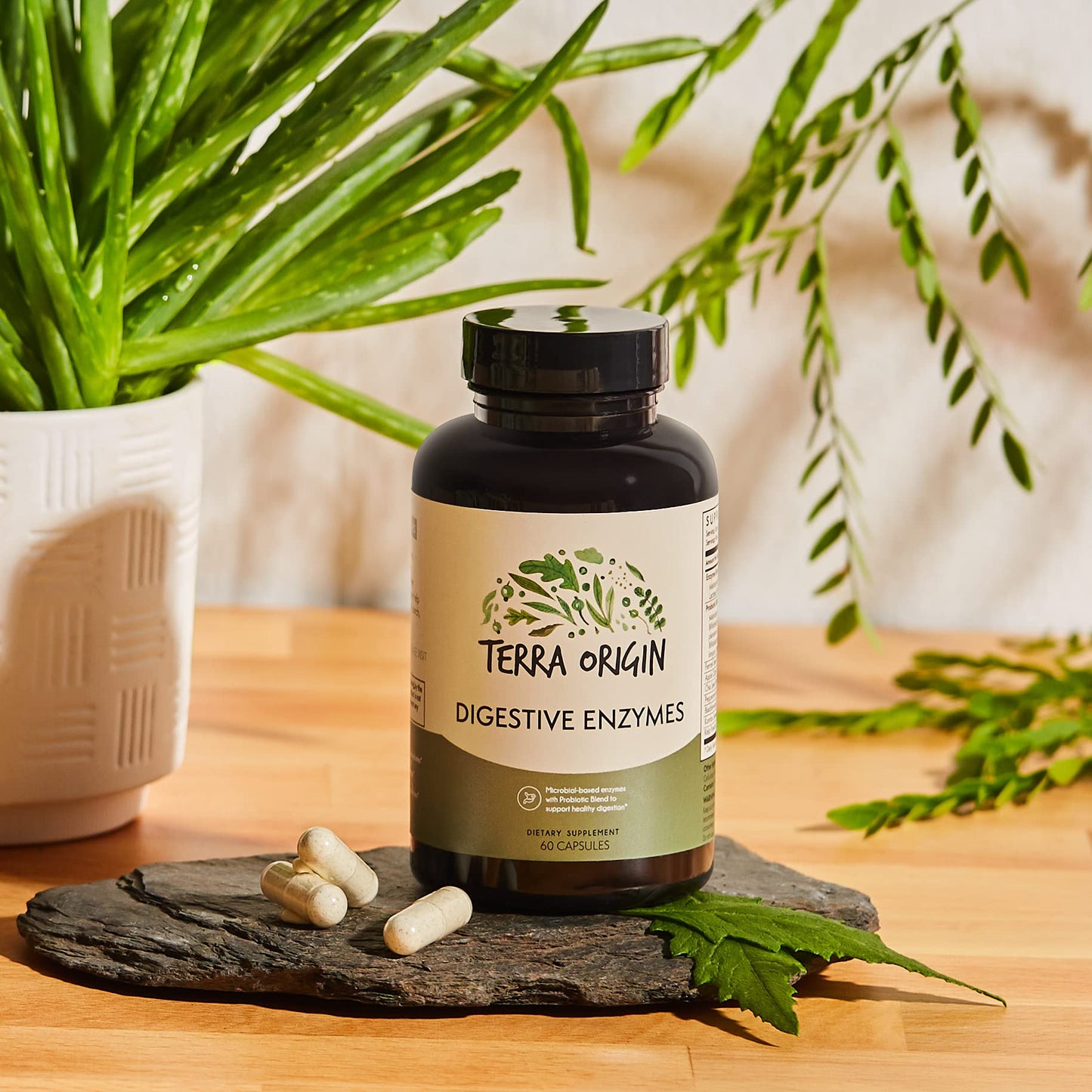 TERRA ORIGIN Digestive Enzymes with Probiotics & Prebiotics | 60 Capsules | Supports Digestive Gut Health | Non GMO, Gluten Free,