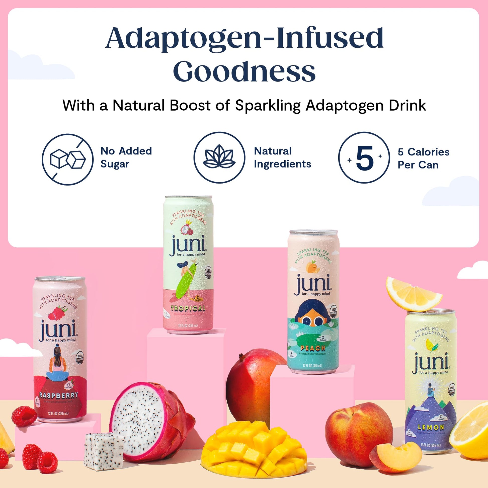 Juni Sparkling Adaptogen Drink with Ashwagandha, Lion’s Mane & Reishi Mushrooms | Green Tea for Focus, Zero Sugar, 5 Calories, Organic | Non Alcoholic Drinks - Raspberry 12 pack JUNI buy supplements Au