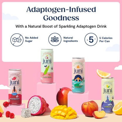 Juni Sparkling Adaptogen Drink with Ashwagandha, Lion’s Mane & Reishi Mushrooms | Green Tea for Focus, Zero Sugar, 5 Calories, Organic | Non Alcoholic Drinks - Raspberry 12 pack JUNI buy supplements Au