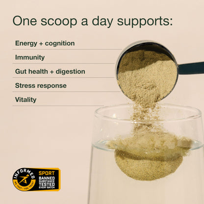 Nuzest Greens Powder Good Green Vitality – Vitamins, Minerals & Superfoods – Vegan Multivitamin Supplement (300g) Nuzest buy supplements Au