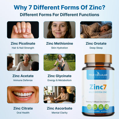 Zinc7: 7-in-1 Zinc Complex 50mg - Maximum Absorption for Immune Defense, Deep Sleep & All-Day Energy | Hormone Balance, Mental Focus