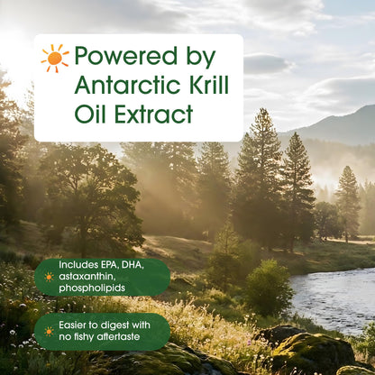 NatureBell Antarctic Krill Oil 1,000mg - 240 Softgels - Omega-3 Heart, Joint & Immune Health Support*