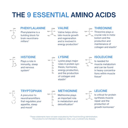 ALTAGAMMA Pure Amino Acids Complex - Protein for Pre/Post Workout, Energy & Muscle Recovery - 9 Essential Amino Acids Supplement (EAA) & BCAAs - Leucine, Lysine, L Tyrosine, L Arginine, 60 Capsules ALTAGAMMA buy supplements Au