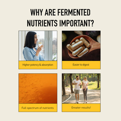 Living Alchemy Gut Health Supplements for Men & Women - Your Flora Probiotic Professional Digestion Supplement with Fermented Soybean, Prebiotics,