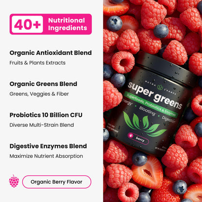 SuperGreens Powder, 40+ Organic Superfoods, Probiotics & Enzymes for Energy, Digestion, Gut Health & Bloating | Organic Fruit & Veggie Drink Mix, Daily Green Juice