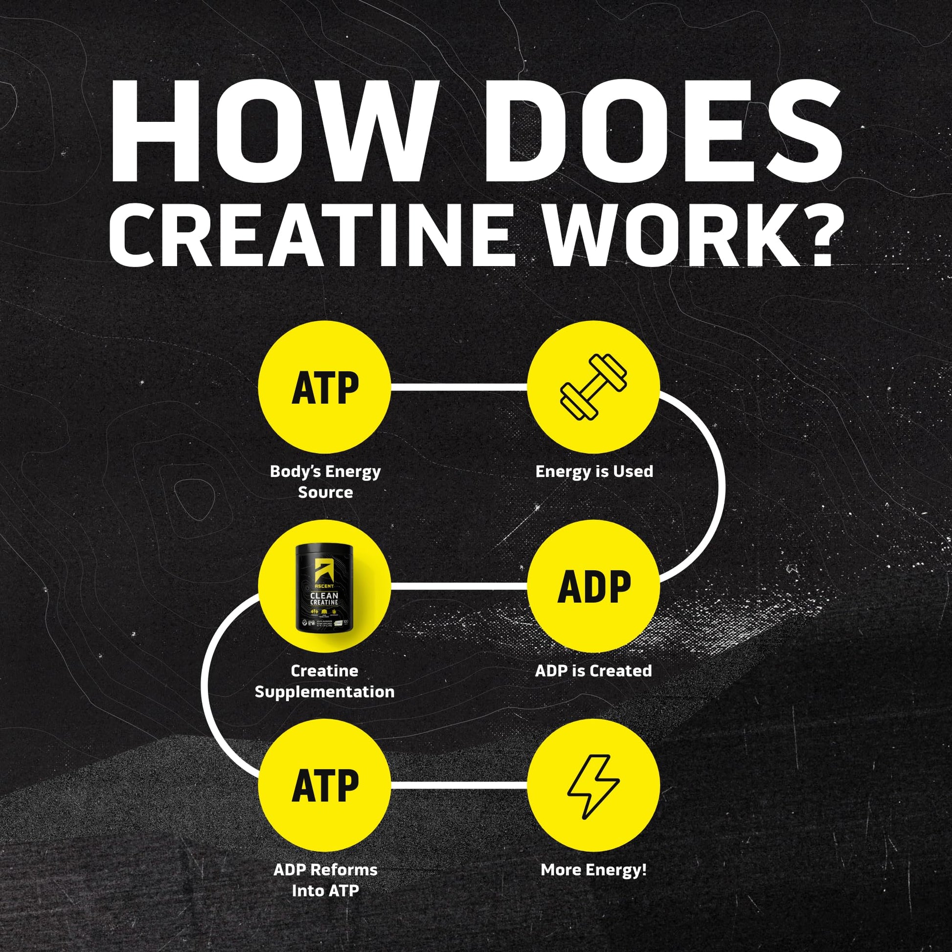 Ascent Clean Creatine Monohydrate Powder - 5G Per Serving, Creapure Creatine Supplement - Unflavored, 100 Servings Ascent buy supplements Au