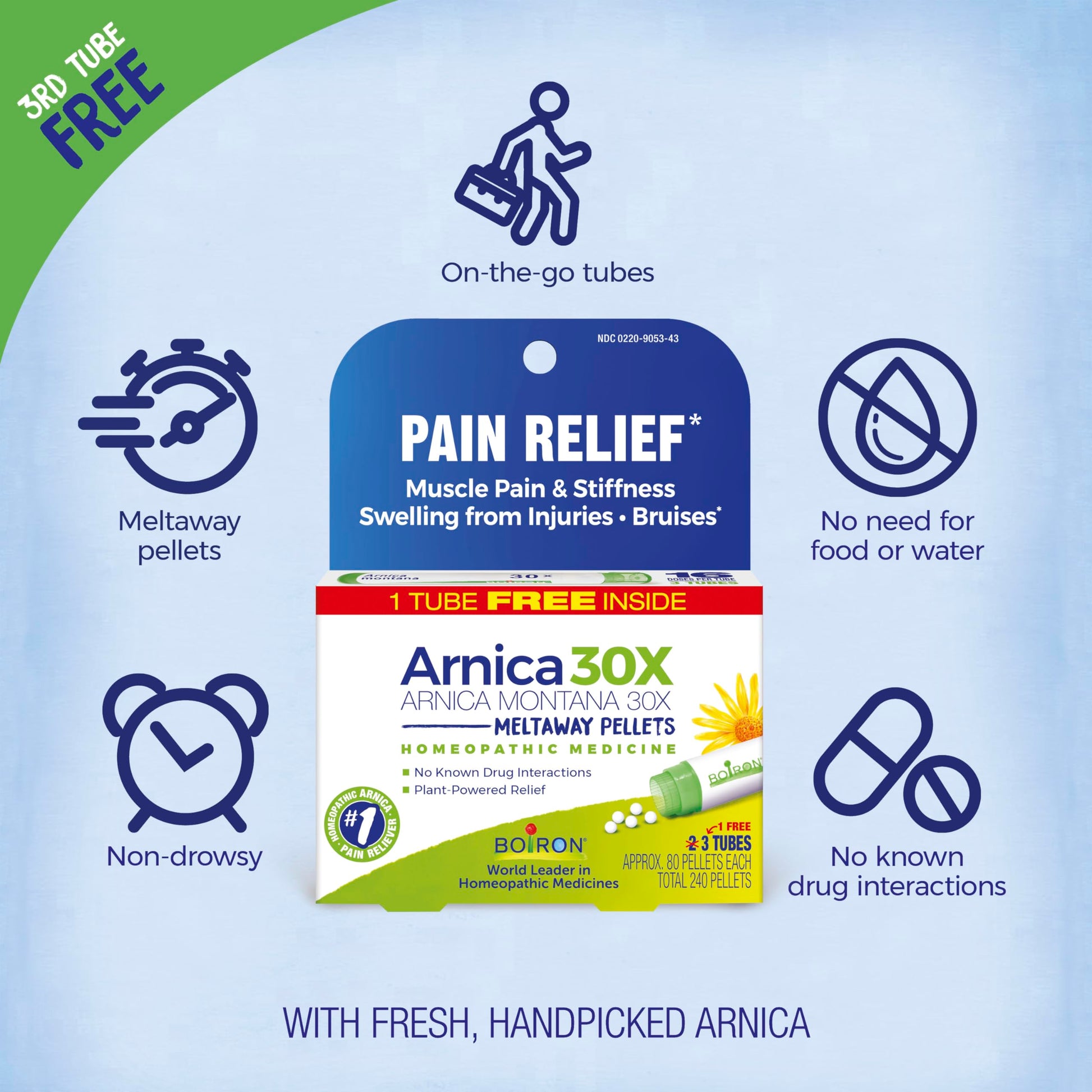 Boiron Arnica Montana 30X Homeopathic Medicine for Relief from Muscle Pain, Muscle Stiffness, Swelling from Injury, and Discoloration from Bruises - 3 Count (240 Pellets) BoironBuy Supplements Australia