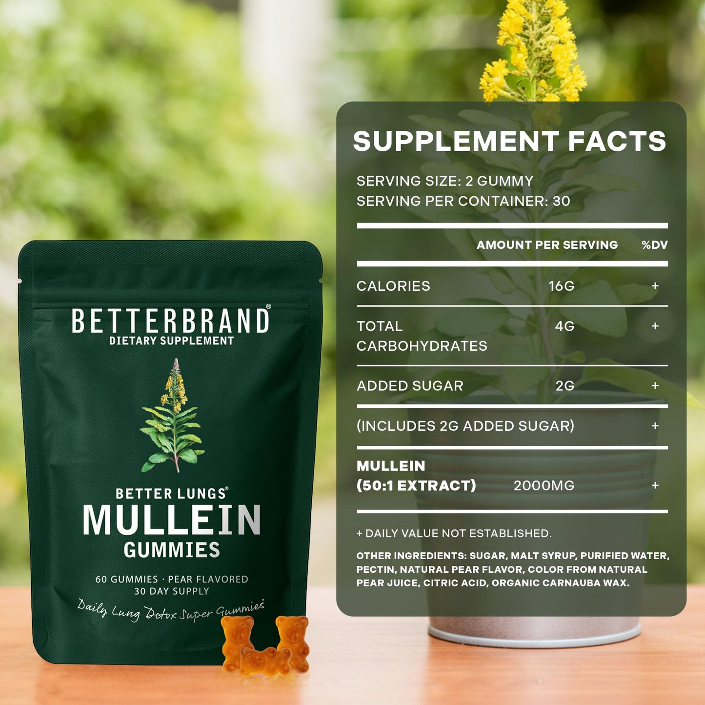 Betterbrand Mullein Chewable Gummies for Lung Cleanse and Detox, Respiratory Health Supplement, 1000mg Mullein Extract per Serving, 60 Gummies