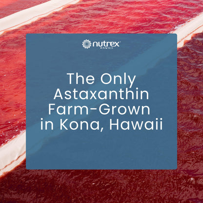 Nutrex Hawaii BioAstin Hawaiian Astaxanthin - 12mg, 90 Softgels - Farm-Direct Premium Antioxidant Supplement to Support Eye, Skin