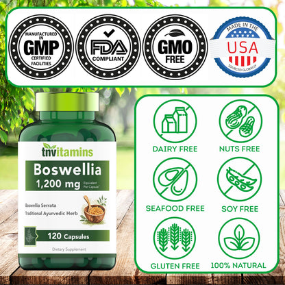 tnvitamins Boswellia Extract Capsules, 120 Count | 1,200 mg Per Capsule | 65% Boswellic Acids + 10:1 Concentrated Extract | Boswellia Serrata