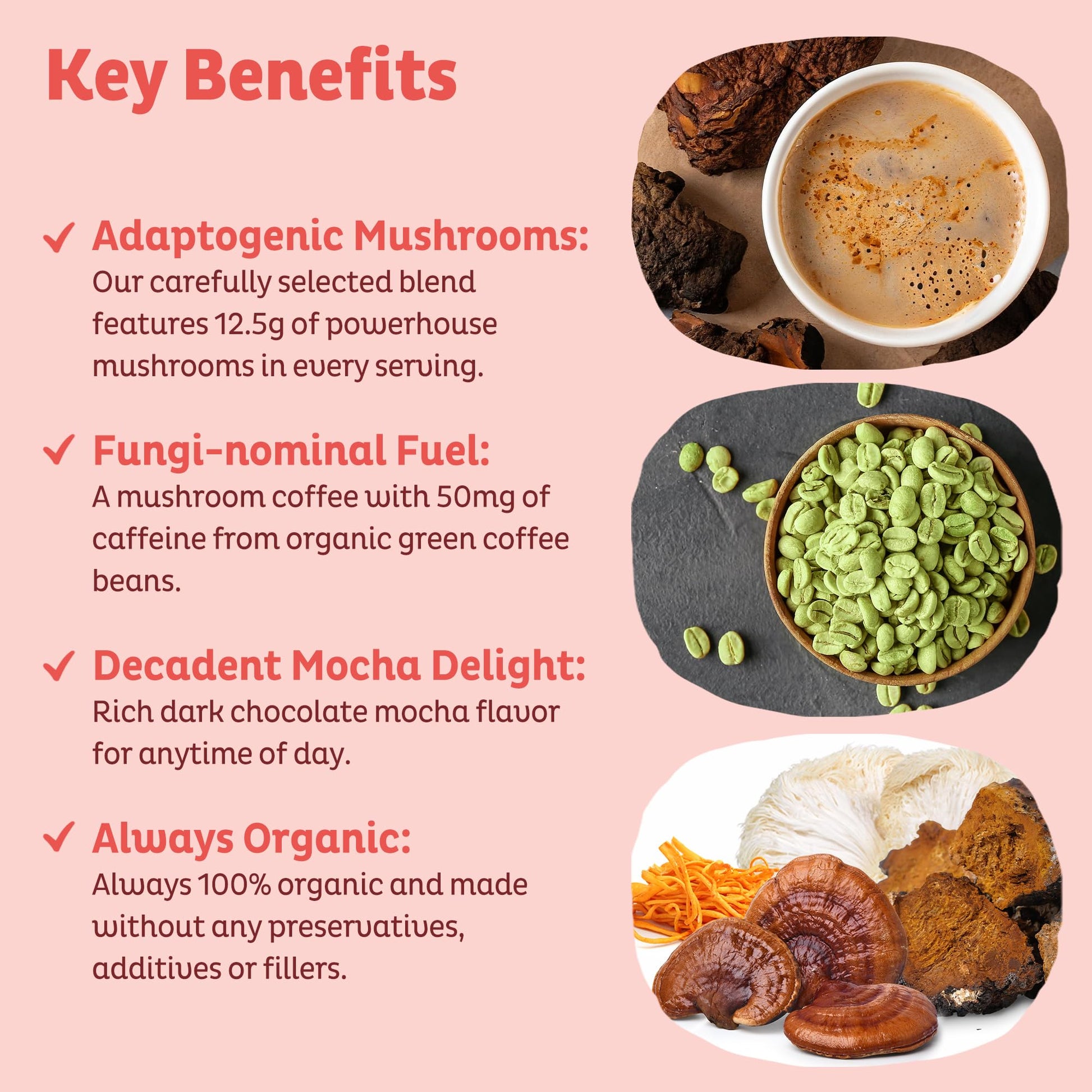 KOS Mushroom Coffee - USDA Certified Organic - Dark Chocolate Mocha Flavor - Mushroom Coffee Latte Powder with Reishi, Cordyceps, Lion's Mane, Chaga & Turkey Tail Mushrooms KOS buy supplements Au