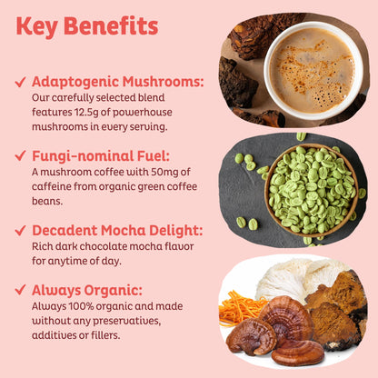 KOS Mushroom Coffee - USDA Certified Organic - Dark Chocolate Mocha Flavor - Mushroom Coffee Latte Powder with Reishi, Cordyceps, Lion's Mane, Chaga & Turkey Tail Mushrooms KOS buy supplements Au