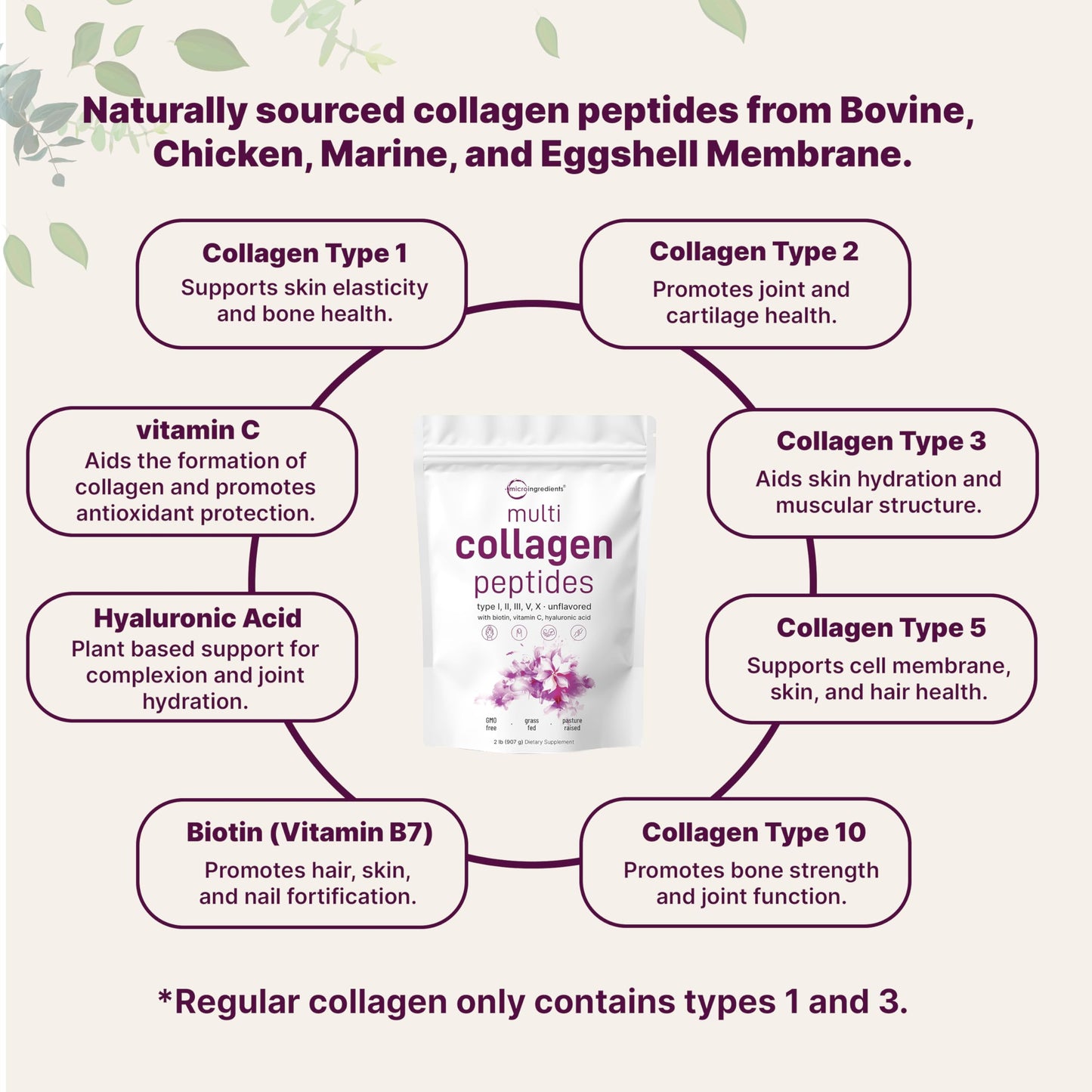 Micro Ingredients Multi Collagen Peptides Powder, 2lb – Hydrolyzed Type I,II,III,V,X with Biotin, Hyaluronic Acid, Vitamin C – Unflavored Collagen for Women & Men