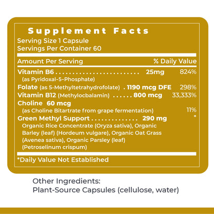 Premier Research Labs Phyto Methylate - B Vitamin Supplement - Supports Methylation, Detox, Brain & Heart Health - 5-MTHF & P5P - 60 Plant-Source Capsules Premier Research LabsBuy Supplements Australia