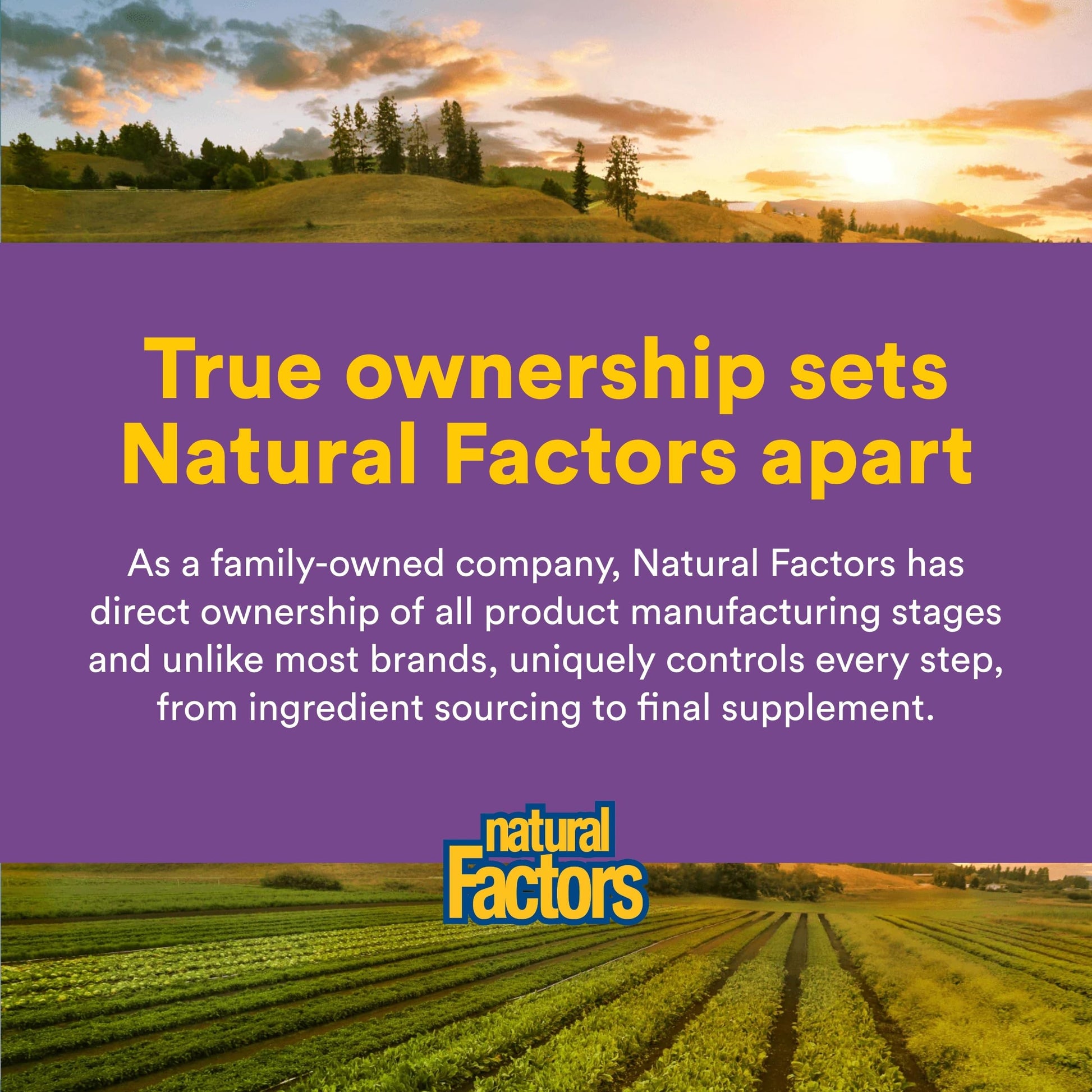 Natural Factors Pharma GABA - Dietary Supplement Supports Calm Sleep & Sleep Quality - Natural, Fast-Working Supplement Aids Focus & Brain Health - 60 Chewable Tablets (60 Servings) Natural Factors buy supplements Au