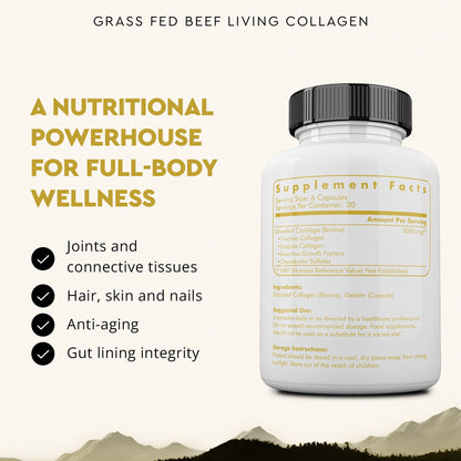 Ancestral Supplements Grass Fed Beef Living Collagen Nutritional Powder Supplement, 3000mg, Promotes Healthier, Younger Looking Skin, Hair