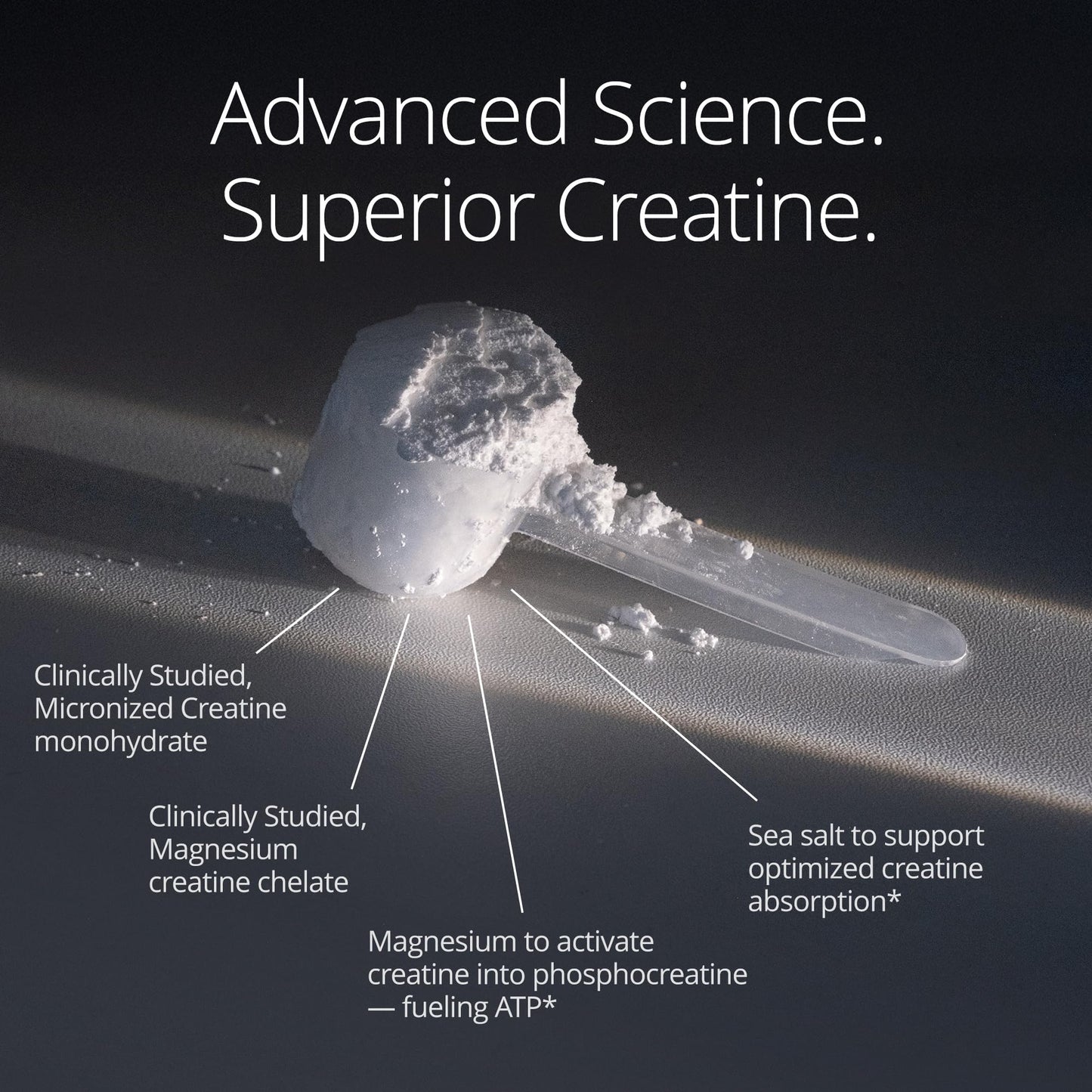 Qualia Creatine | Advanced Creatine Complex | 2 Sources + Magnesium | Optimized Absorption | Muscle Performance, Brain Function, & Healthy Aging (30 Servings) QUALIA LIFE SCIENCES buy supplements Au