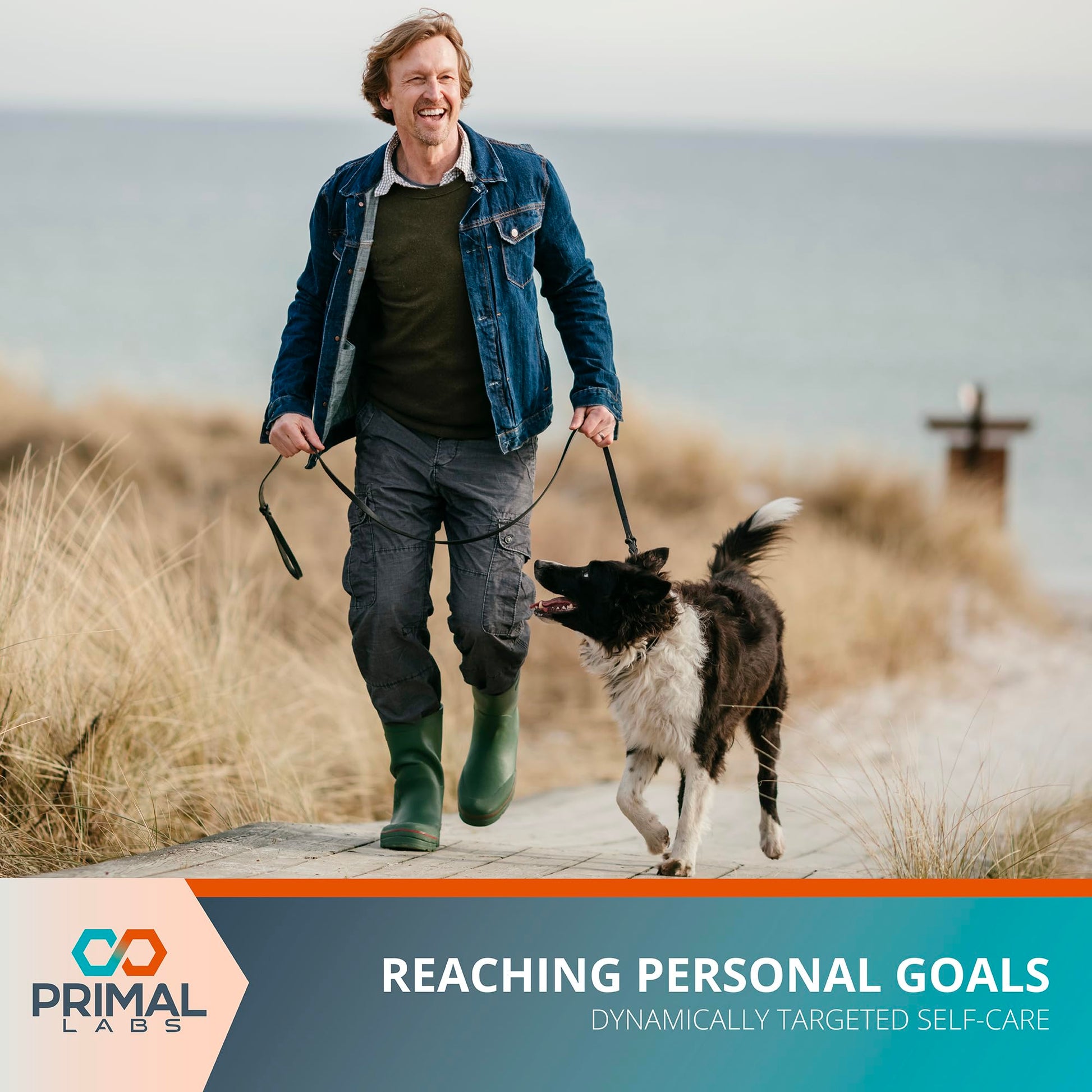 Primal Labs Nerve Support Capsules - Supports Nerve Health, Sensory Function & Comfort - Benfotiamine, Alpha Lipoic Acid, Acetyl L-Carnitine, Vitamins B6 B12-60 Count Primal LabsBuy Supplements Australia