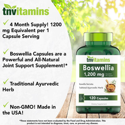 tnvitamins Boswellia Extract Capsules, 120 Count | 1,200 mg Per Capsule | 65% Boswellic Acids + 10:1 Concentrated Extract | Boswellia Serrata