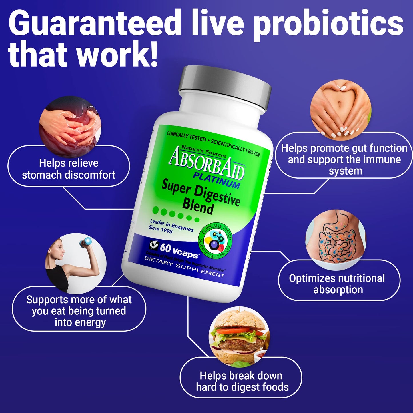 AbsorbAid Platinum Digestive Enzyme Support 60 vCaps, 12 Digestive Enzymes Plus 2 Probiotics for Maximum Relief