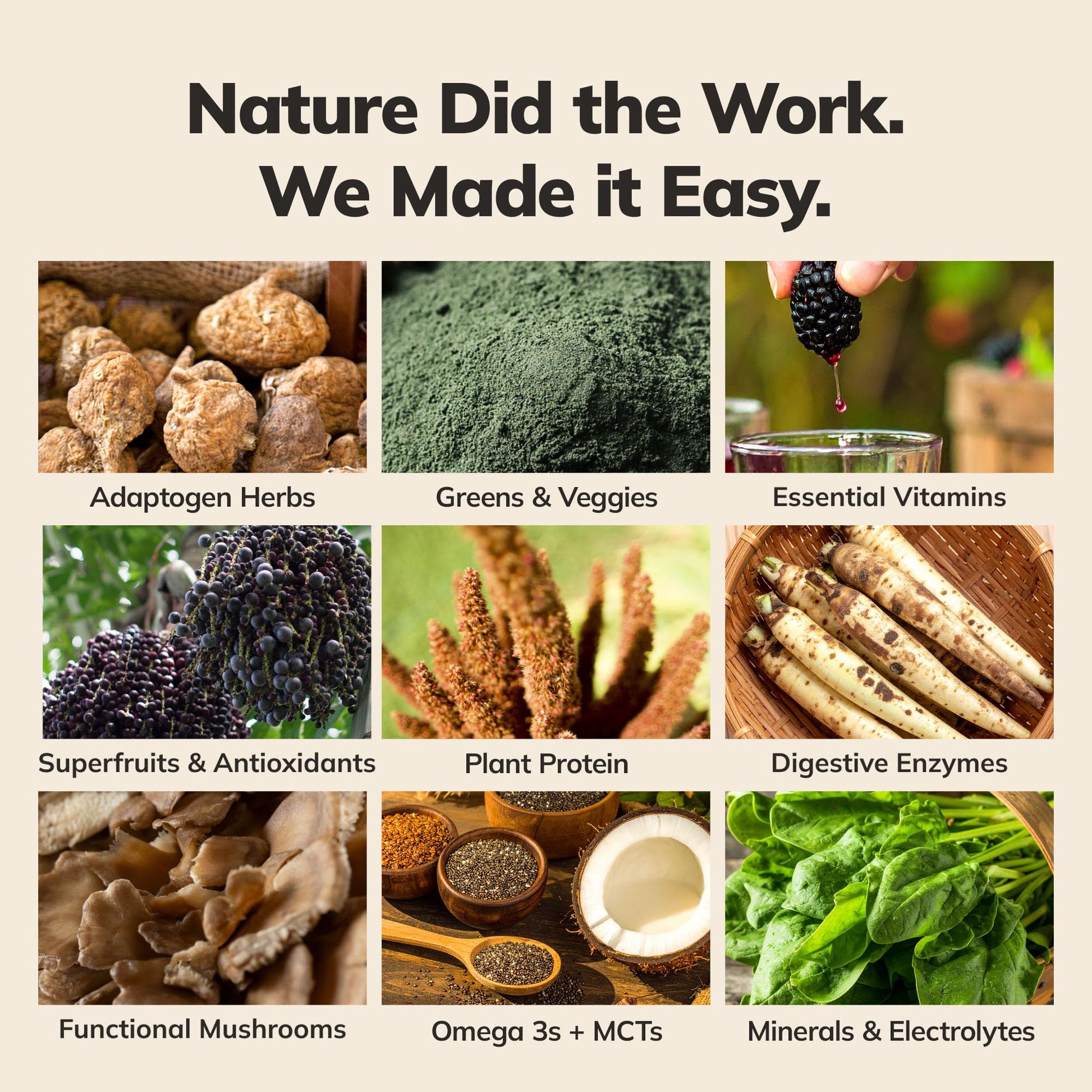 Ka’Chava All-In-One Nutrition Shake Blend, 5 Flavor Sample Pack, 5 Servings, 85+ Superfoods & Nutrients, Meal Replacement, Greens Plant-Based Superfood Powder Protein Drink, Digestive Enzymes & Probiotics, Vegan Dairy Gluten Free Ka'Chava buy supplements Au