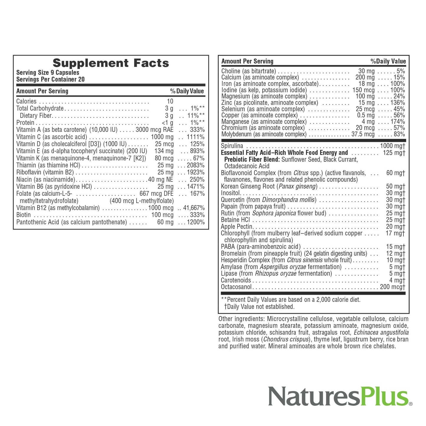 NaturesPlus Source of Life - 180 Capsules - Multivitamin & Mineral Supplement - Supports Natural Energy & Overall Well-Being - Gluten Free, Vegetarian - 20 Servings NaturesPlusBuy Supplements Australia
