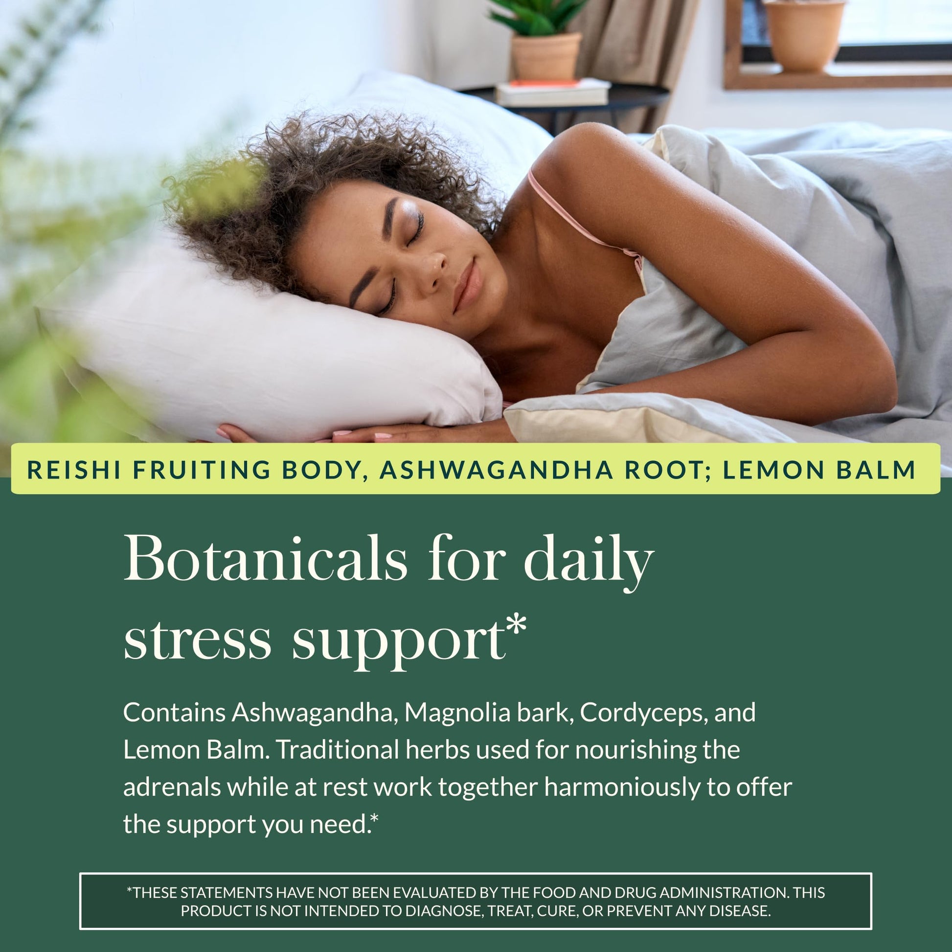 Gaia Herbs Adrenal Health Daily Support, Help Maintain Healthy Energy & Stress Levels*,120 Liquid Phyto-Caps Adrenal Health Nightly Restore, 120 Liquid Phyto-Caps - Bundle Gaia Herbs buy supplements Au