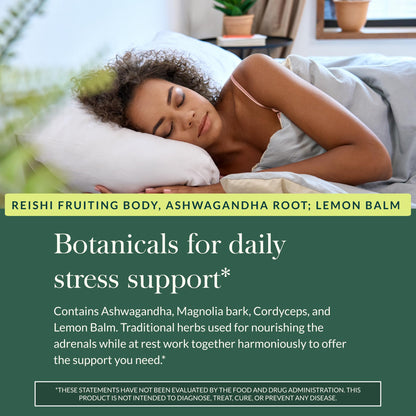Gaia Herbs Adrenal Health Daily Support, Help Maintain Healthy Energy & Stress Levels*,120 Liquid Phyto-Caps Adrenal Health Nightly Restore, 120 Liquid Phyto-Caps - Bundle Gaia Herbs buy supplements Au