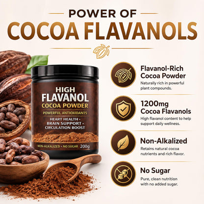 High Flavanol Cocoa Powder, Flavanol Rich Cocoa Powder– 1200mg Cocoa Flavanols – 10X More Flavanols – Supports Heart Health, Nitric Oxide & Energy