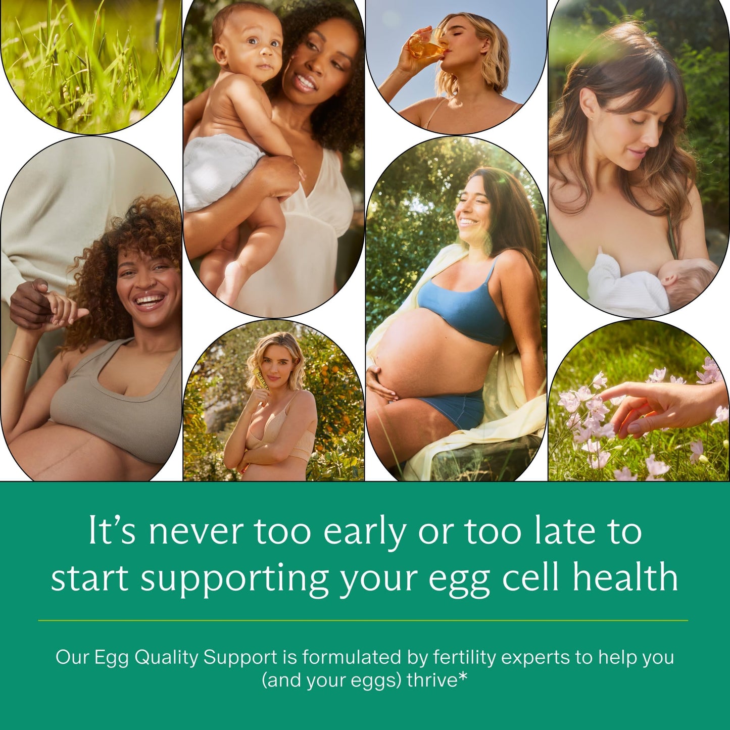 Needed. Egg Quality Support - Optimally Formulated Antioxidants Supplement for Egg Quality - Fertility Support - Fertility Supplement for Women