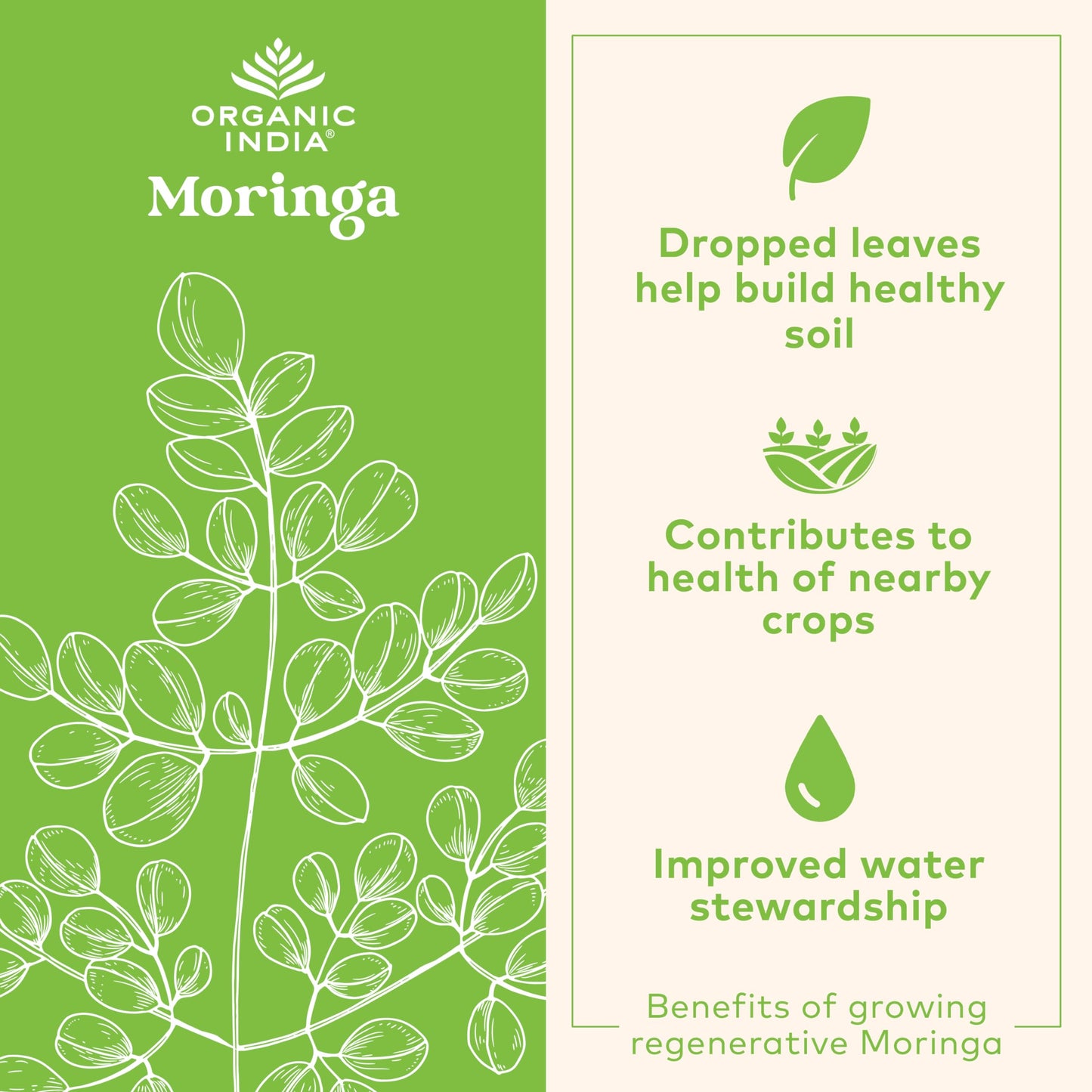 ORGANIC INDIA Moringa Herbal Supplement - Green Superfood, Nutrient Dense, Pure Plant Protein, Vitamin A, E, K, Iron, Calcium, Fiber, Vegan
