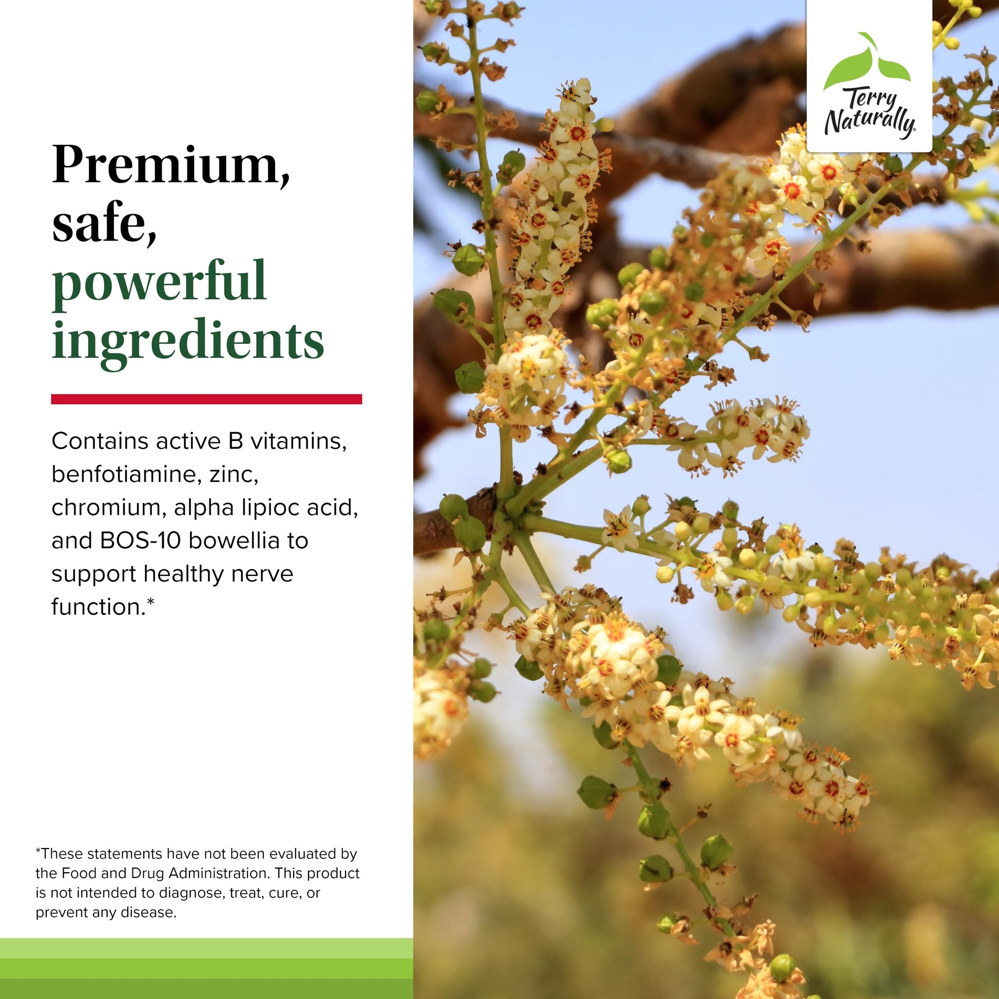 Terry Naturally Healthy Feet & Nerves - Herbal Supplement with Bioactive Vitamin B12 - Circulation & Nerve Health Support Supplement - Vegan Capsules with Boswellia Serrata - 60 Capsules Terry NaturallyBuy Supplements Australia