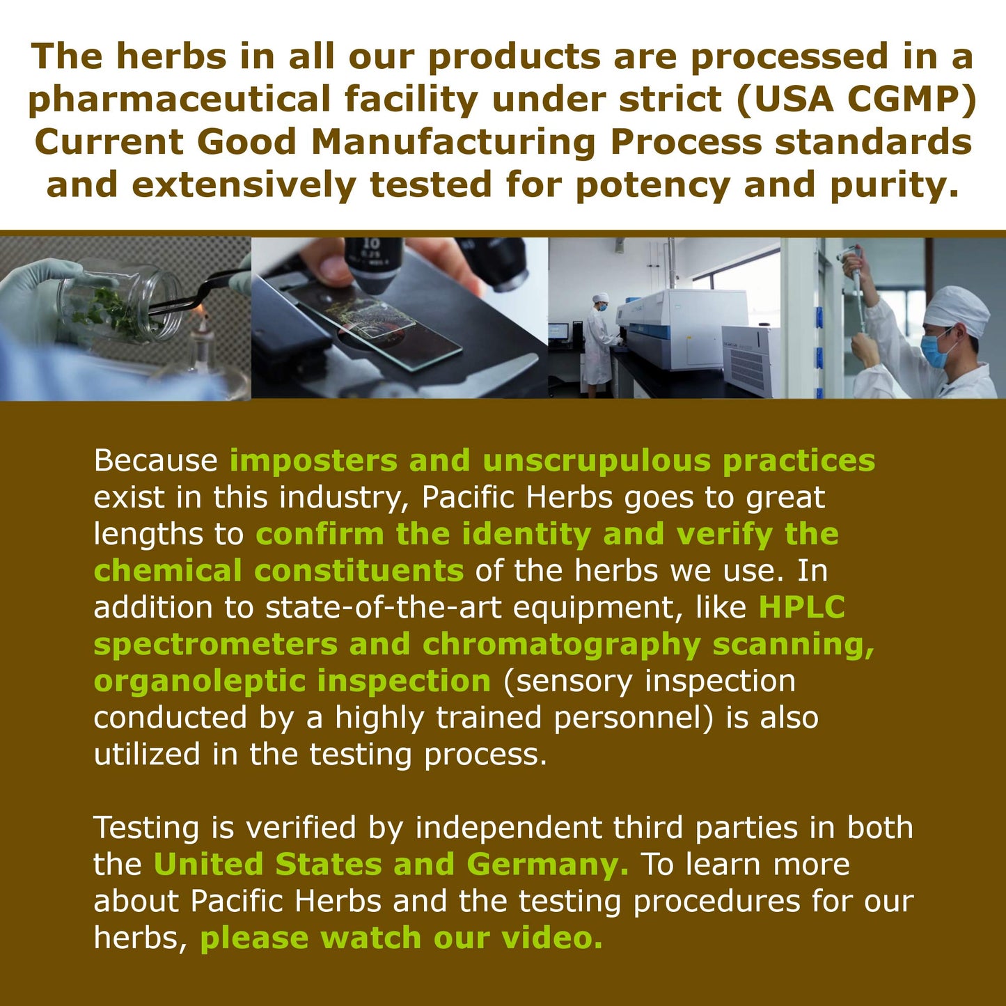 Pacific Herbs Corydalis Natural Pain Relief Herbs Pacific HerbsBuy Supplements Australia