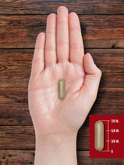 Carlyle Grass Fed Beef Organ Complex | 200 Capsules | Pasture Raised, Grain Free Supplement | with Desiccated Liver, Kidney, Pancreas, Heart, Spleen