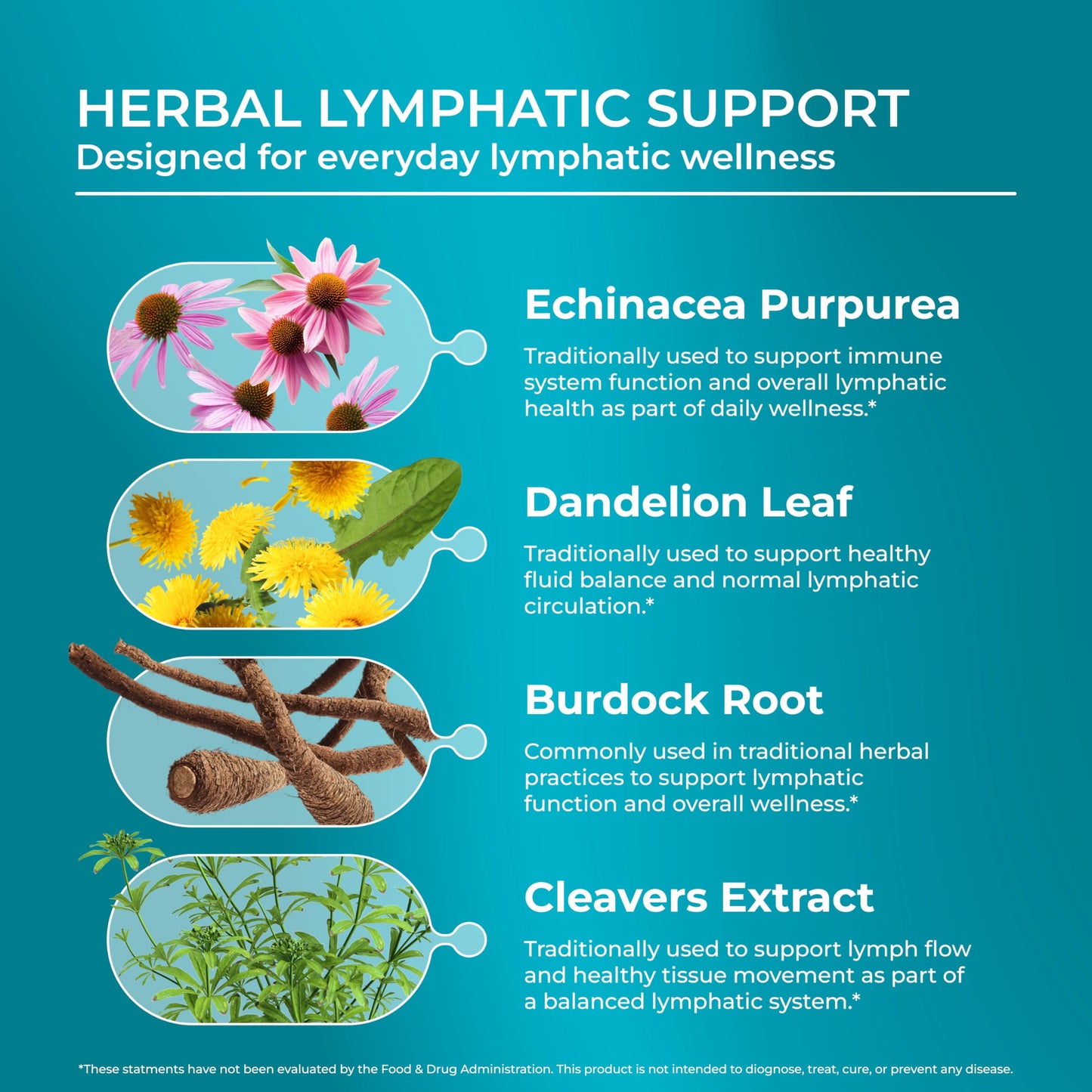 PUREHEALTH RESEARCH Lymph System Support - Lymphatic Drainage Supplement for Women & Men - Bromelain, Echinacea, Dandelion, Burdock Root, Lemon Powder, Kelp, Cleavers & More - 60 Capsules PUREHEALTH RESEARCH buy supplements Au