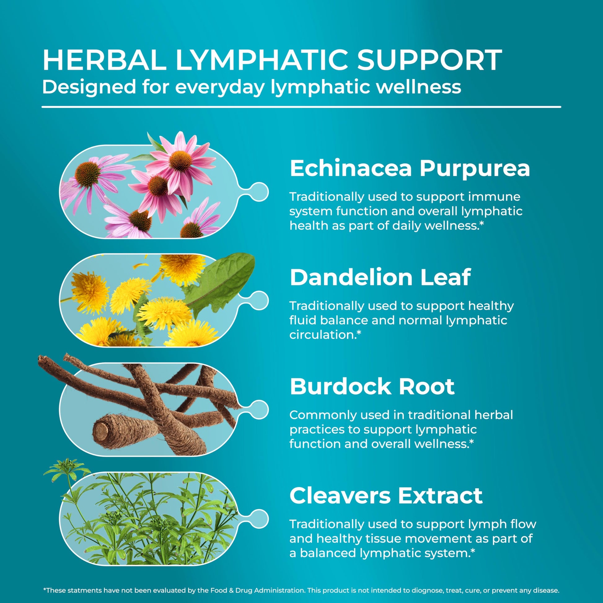 PUREHEALTH RESEARCH Lymph System Support - Lymphatic Drainage Supplement for Women & Men - Bromelain, Echinacea, Dandelion, Burdock Root, Lemon Powder, Kelp, Cleavers & More - 60 Capsules PUREHEALTH RESEARCH buy supplements Au