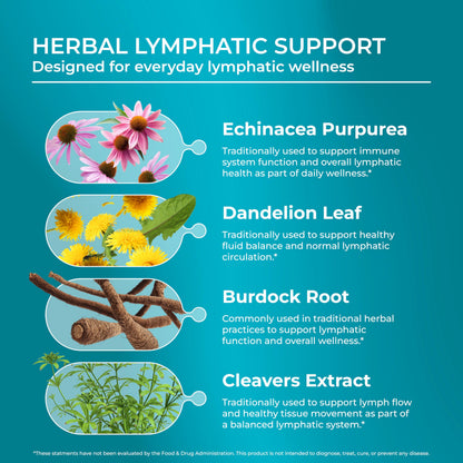 PUREHEALTH RESEARCH Lymph System Support - Lymphatic Drainage Supplement for Women & Men - Bromelain, Echinacea, Dandelion, Burdock Root, Lemon Powder, Kelp, Cleavers & More - 60 Capsules PUREHEALTH RESEARCH buy supplements Au