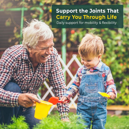 ASU Joint Support Supplement – 300mg Avocado Soy Unsaponifiables for Joint Comfort, Mobility & Cartilage Health, Clinically Studied, Plant-Based, Non-GMO, Gluten-Free, 60 Capsules (6 Month Supply) AvaSunBuy Supplements Australia