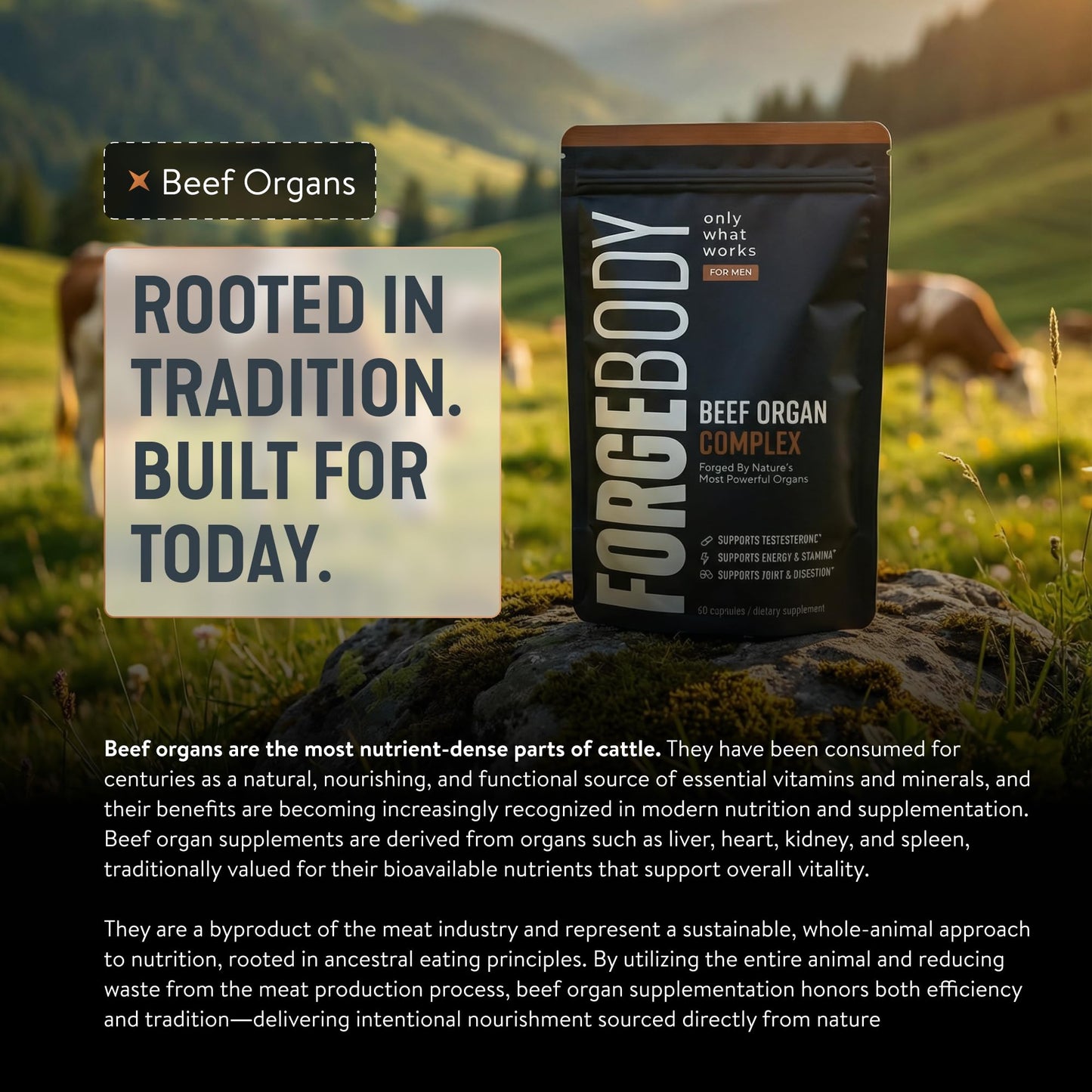 FORGEBODY® Beef Organ Complex Capsules [1 Month] - 100% Grass Fed Beef Organ Supplement with Blend of Liver, Heart, Bone Marrow, Pancreas & Testicles