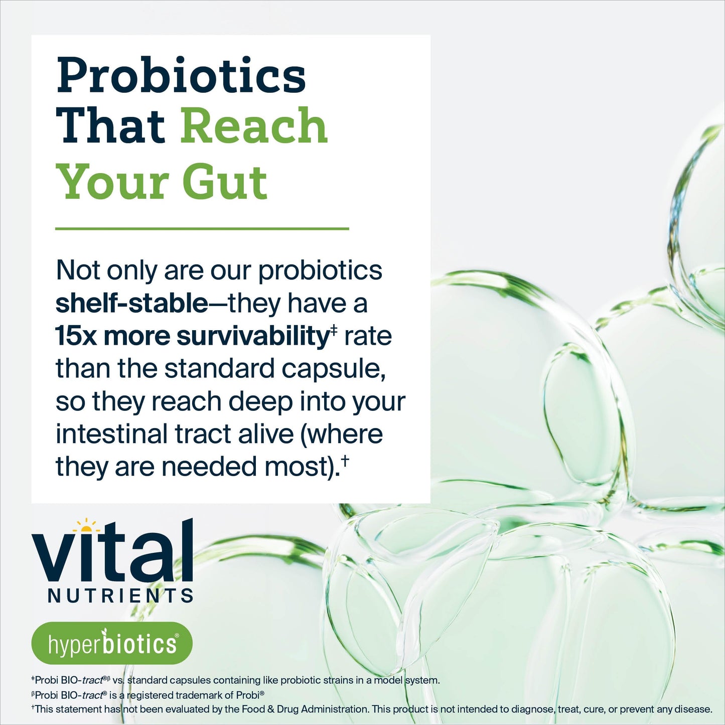 Hyperbiotics Vital Nutrients Organic Prebiotic Fiber Powder | Supports Gut Health and Digestive Regularity | Soluble Fiber Supplement for Women and Men