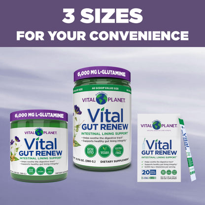 Vital Planet - Vital Gut Renew Powder Supplement for Leaky Gut Repair with L-Glutamine, Marshmallow and Ginger Root, DGL Licorice Root and Organic